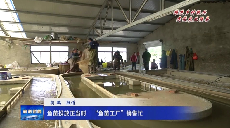 【推進鄉(xiāng)村振興?建設(shè)農(nóng)業(yè)強縣】魚苗投放正當(dāng)