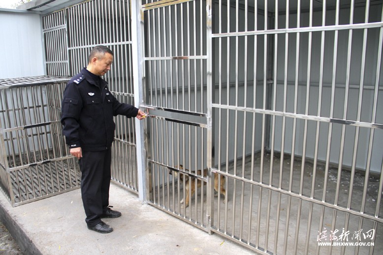 縣公安局開展流浪犬、無主犬收容行動