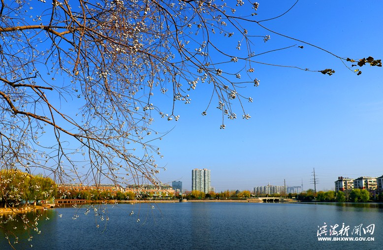 縣城南湖風光帶