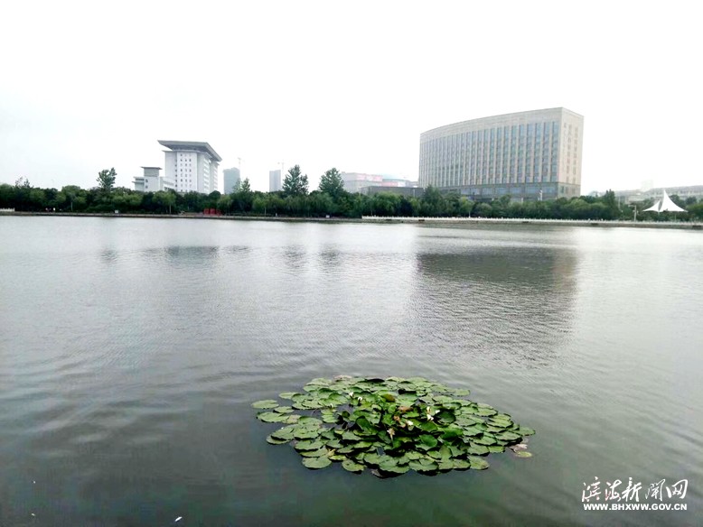 我縣開(kāi)展城市品質(zhì)提升行動(dòng)