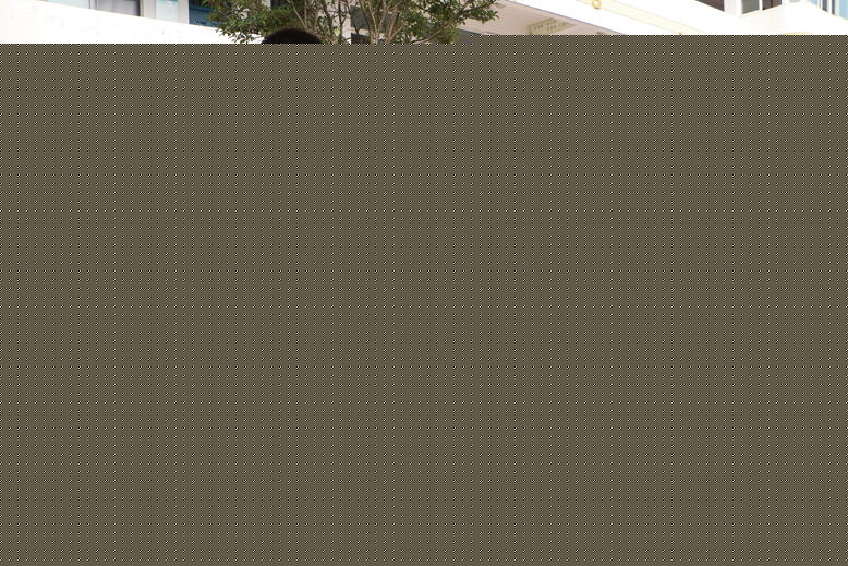 縣第二實驗小學全校師生開展捐款活動