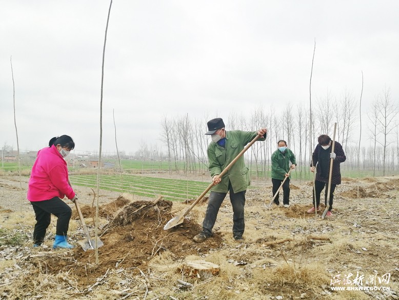 各鎮(zhèn)（區(qū)、街道）掀起植樹(shù)綠化熱潮